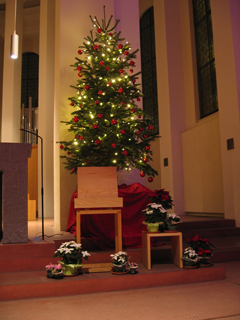 Baum Krippe Weihnachten 2020 Kleiner Michel