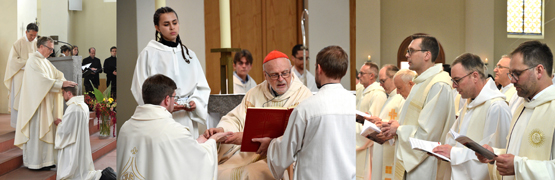 Priesterweihe Dag Heinrichoski Kleiner Michel